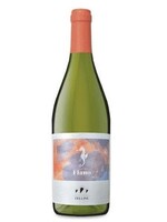 Feline Felline Fiano