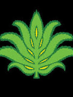 Lupulin Smazey Juice Mango Pineapple 10MG THC 4 can