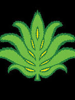 Lupulin Smazey White Peach 10MG THC 4 can