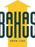 Bauhaus Bauhaus Metelkova Slovenian-Style Pilsner 4 can