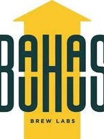 Bauhaus Bauhaus Zizkov Czech-Style Dark Lager 4 can