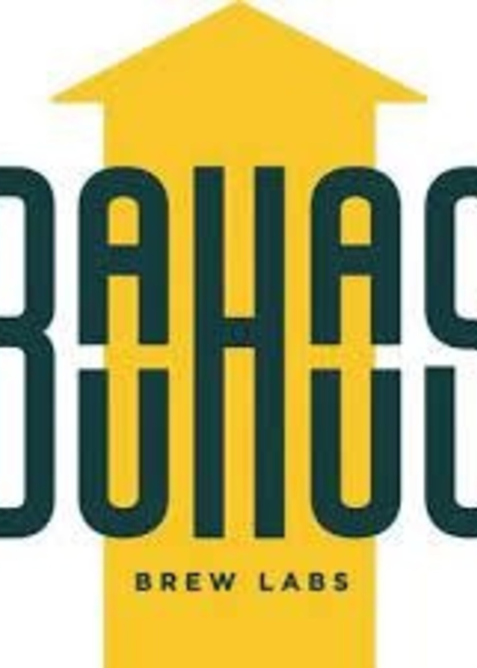 Bauhaus Bauhaus Zizkov Czech-Style Dark Lager 4 can