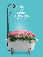 Insight Insight April Showers Hazy IPA 4 can