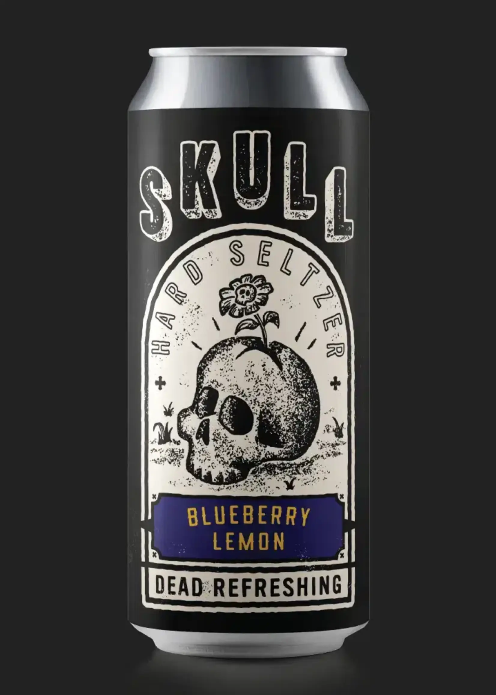 Modist Brewing Company Modist Skull Seltzer Blueberry Lemon 4 can