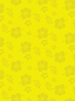 Head Flyer HeadFlyer Hawaiian Sophie Pineapple Pale Ale 4 can