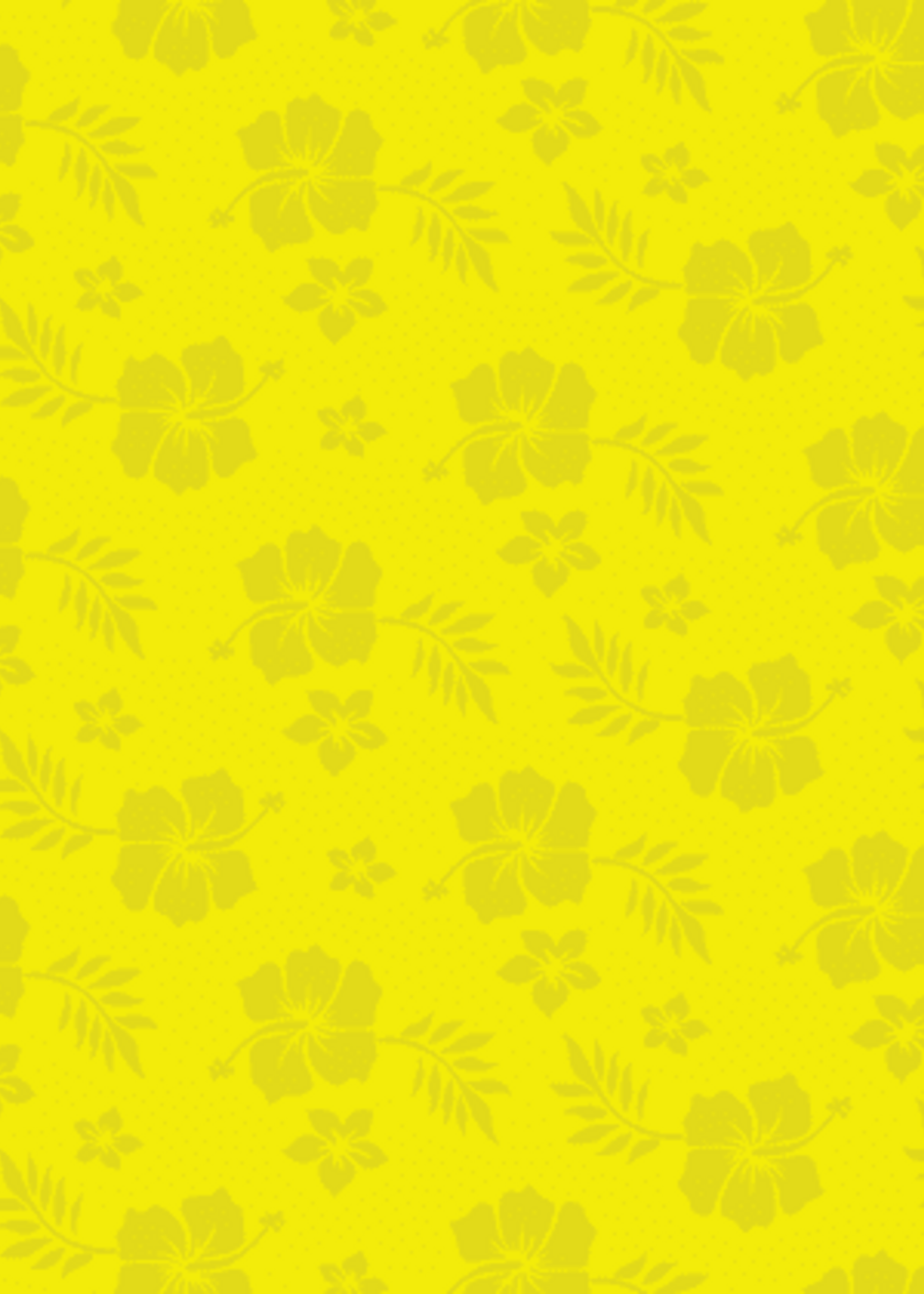 Head Flyer HeadFlyer Hawaiian Sophie Pineapple Pale Ale 4 can