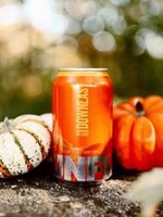 Downeast Downeast Pumpkin Cider 6 can