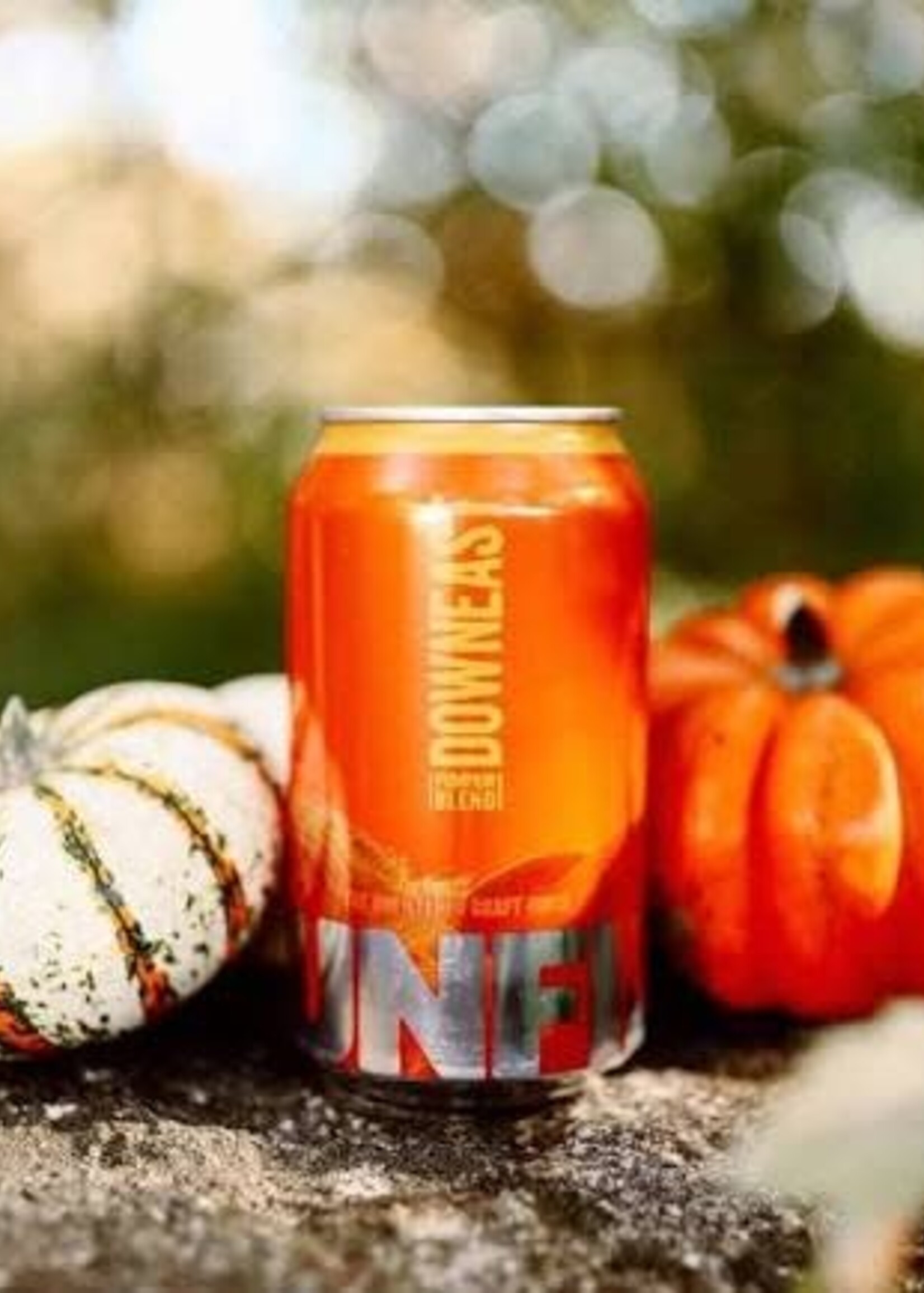 Downeast Downeast Pumpkin Cider 6 can