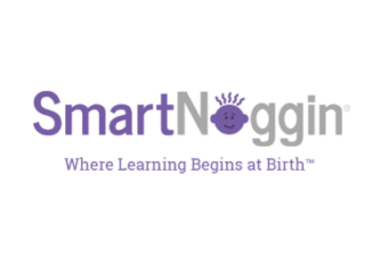 SMART NOGGIN TOYS