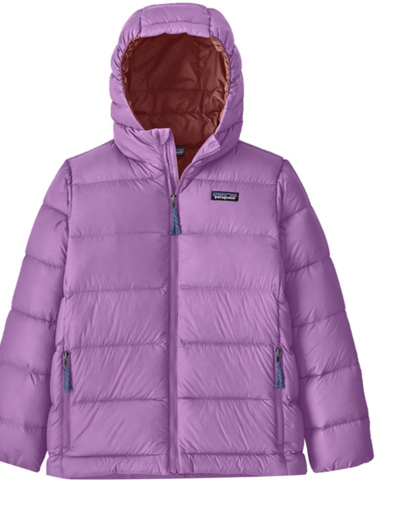 PATAGONIA HI-LOFT DOWN SWEATER HOODY