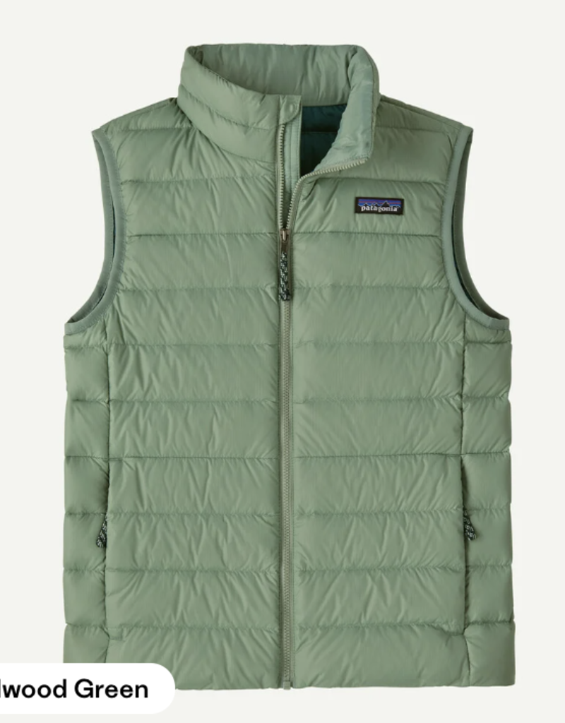 PATAGONIA DOWN SWEATER VEST