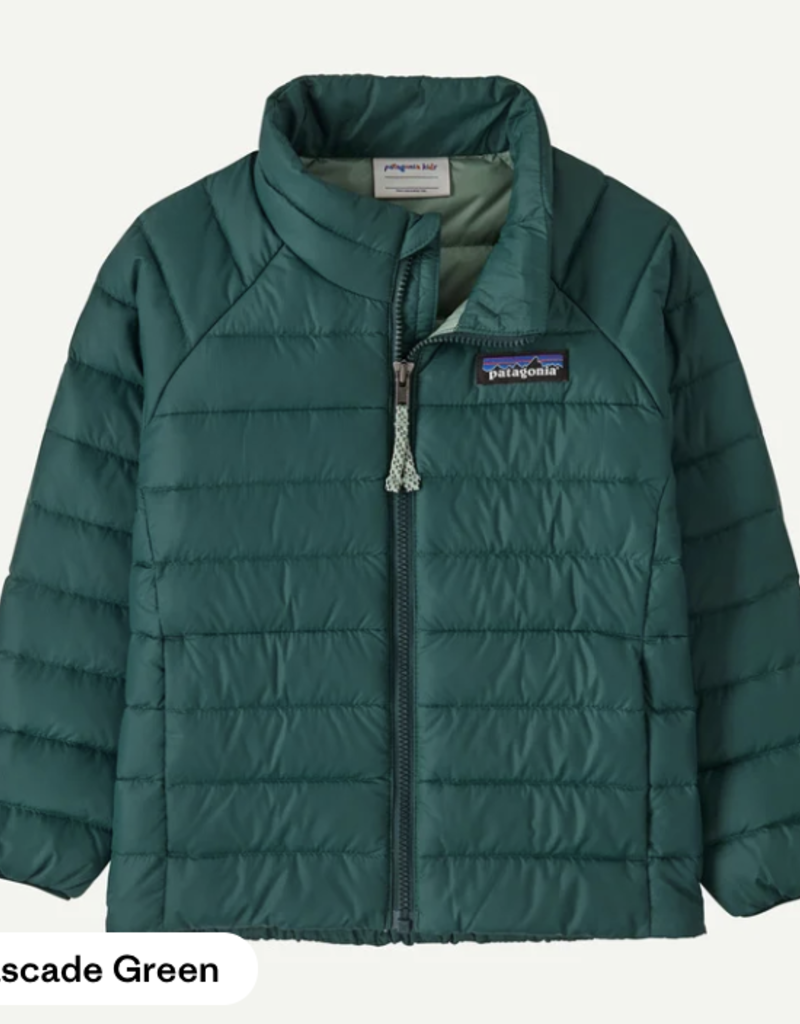 PATAGONIA HI-LOFT DOWN SWEATER HOODY