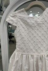 SUSANNE LIVELY SILK BEADED PINTUCK DRESS W/SLV