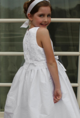 SUSANNE LIVELY LACE OVERLAY TAFFETA DRESS