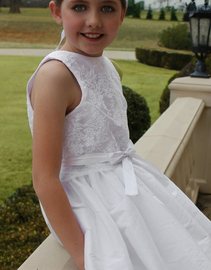 SUSANNE LIVELY LACE OVERLAY TAFFETA DRESS