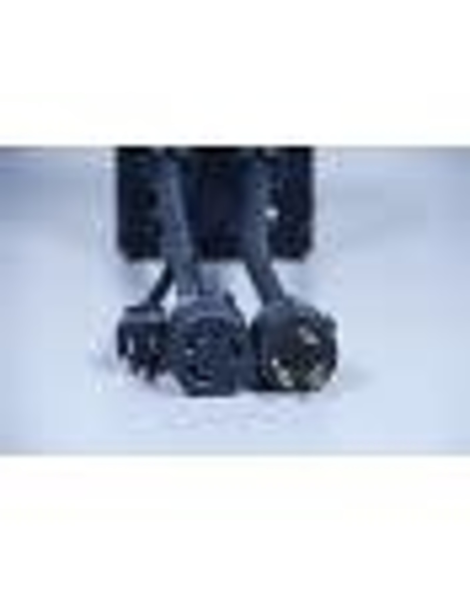 BLICHMANN BREWCOMMANDER 120V