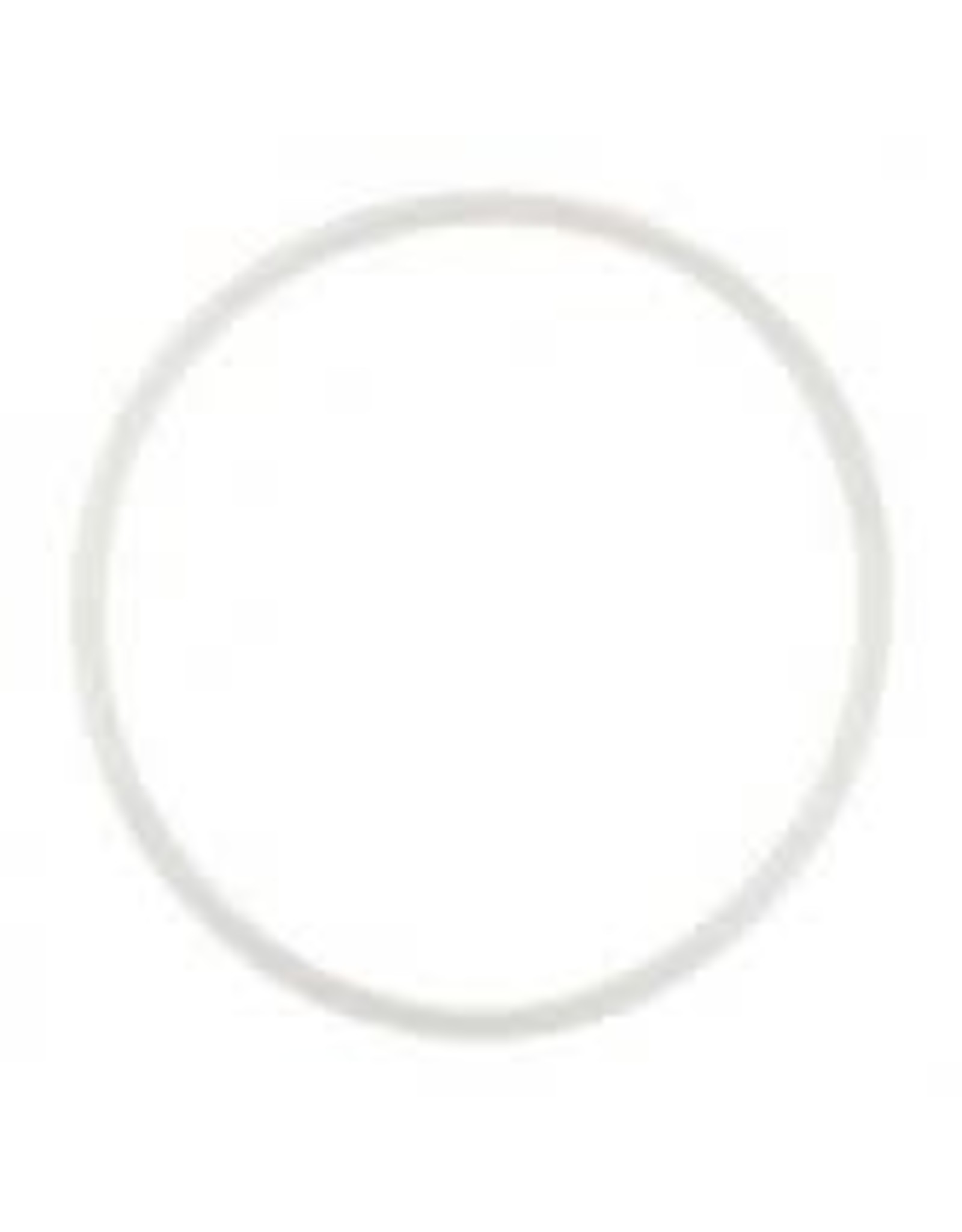 SPEIDEL 60L LID SEAL