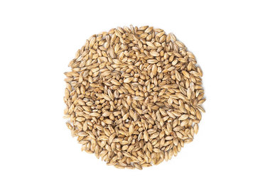 BASE MALTS