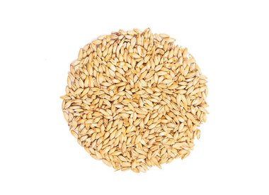 ORGANIC GRAINS