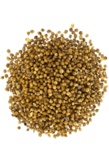 WHOLE CORIANDAR SEED 1 LB