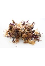 FRESH IRISH MOSS 1/2 LB