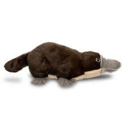 Wild Republic CuddleKins Platypus Plush (12")