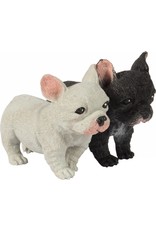 Schylling Toys Novelty Pocket Pups - Series 1 (Assorted; Sold Individually)