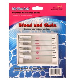 C & A Scientific Scientific Prepared Microscope Slides - Blood and Guts