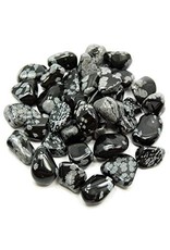 Squire Boone Village Rock/Mineral - Obsidian, Snowflake, Tumbled