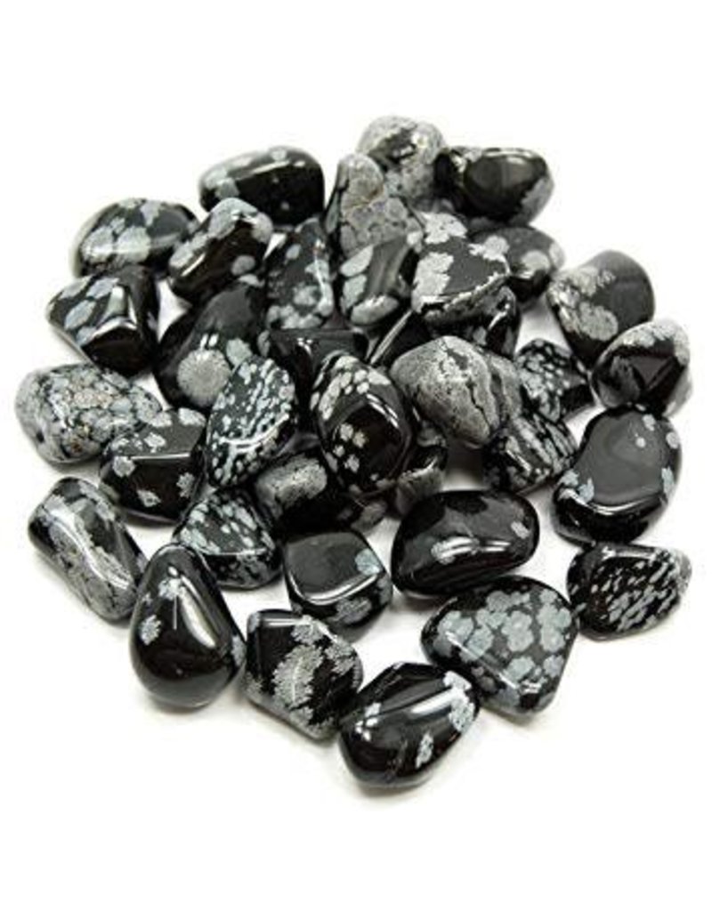 Squire Boone Village Rock Mineral Snowflake Obsidian Tumbled Pow Science Llc