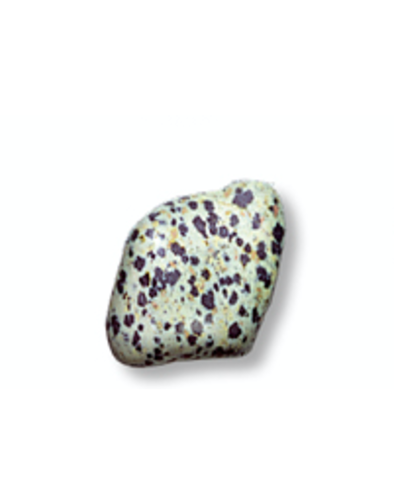 Squire Boone Village Rock/Mineral Tumbled Dalmatian Stone(Sizes and Colors Vary; Sold Individually)