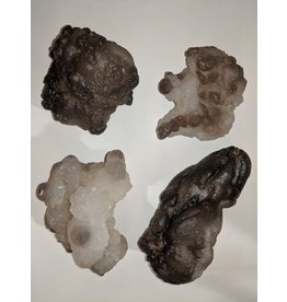 Squire Boone Village Rock/Mineral - Botryoidal Chalcedony (Sizes and Colors Vary; Sold Individually)