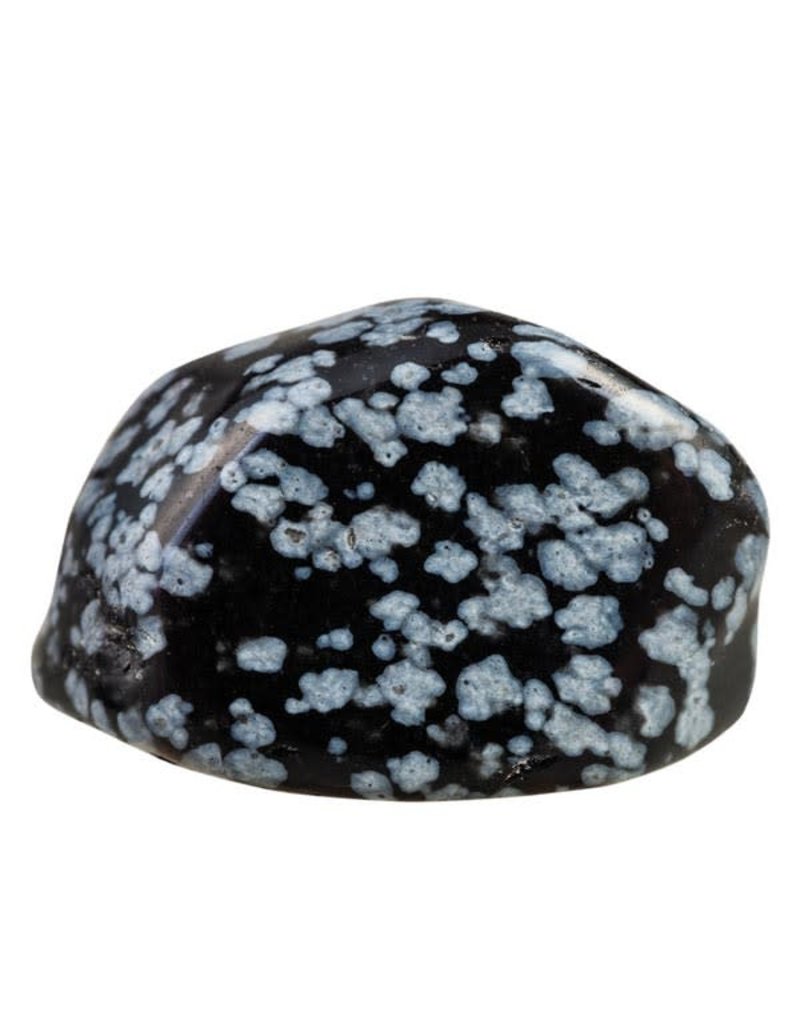 Squire Boone Village Rock/Mineral - Obsidian, Snowflake, Tumbled