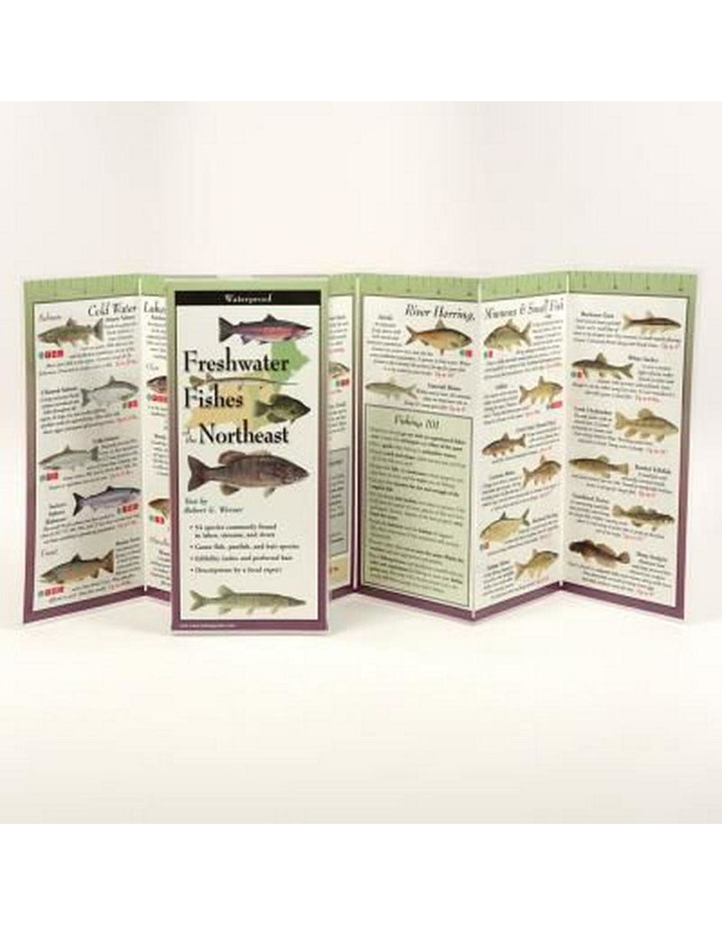 Earth Sea Sky Waterproof Guide Freshwater Fishes of the Northeast