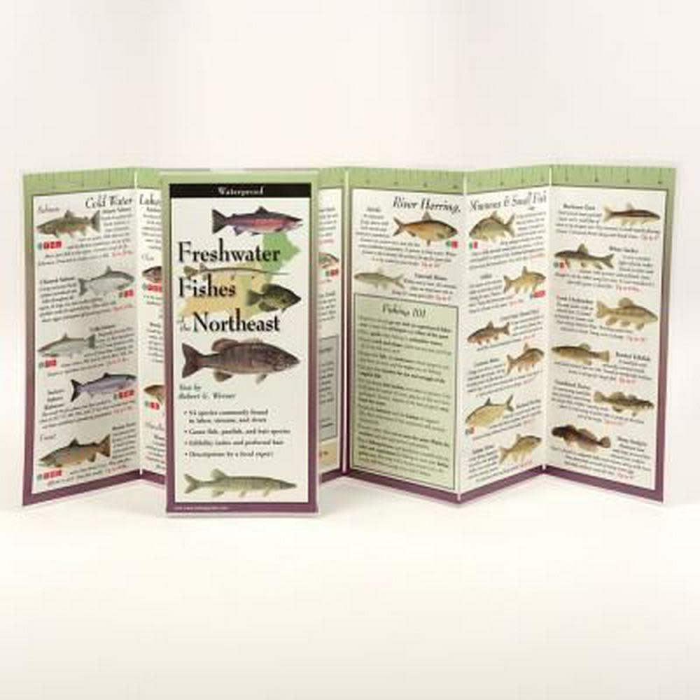 Waterproof Guide Freshwater Fishes of the Northeast