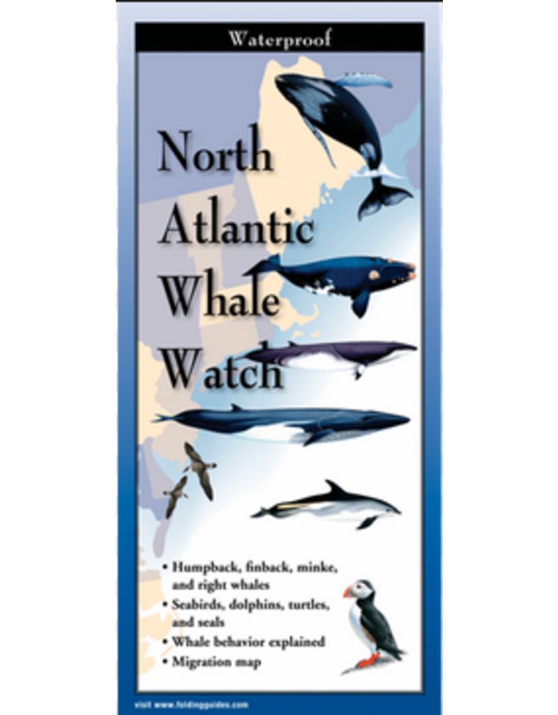 Earth Sea Sky Waterproof Guide North Atlantic Whale Watch