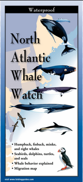 Waterproof Guide North Atlantic Whale Watch