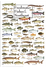 Earth Sea Sky Poster Freshwater Fishes of the Northeast