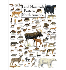 Earth Sea Sky Poster Land Mammals of Eastern North America