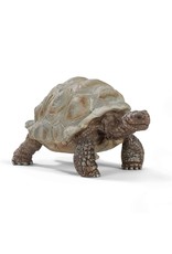Schleich Schleich Giant Tortoise