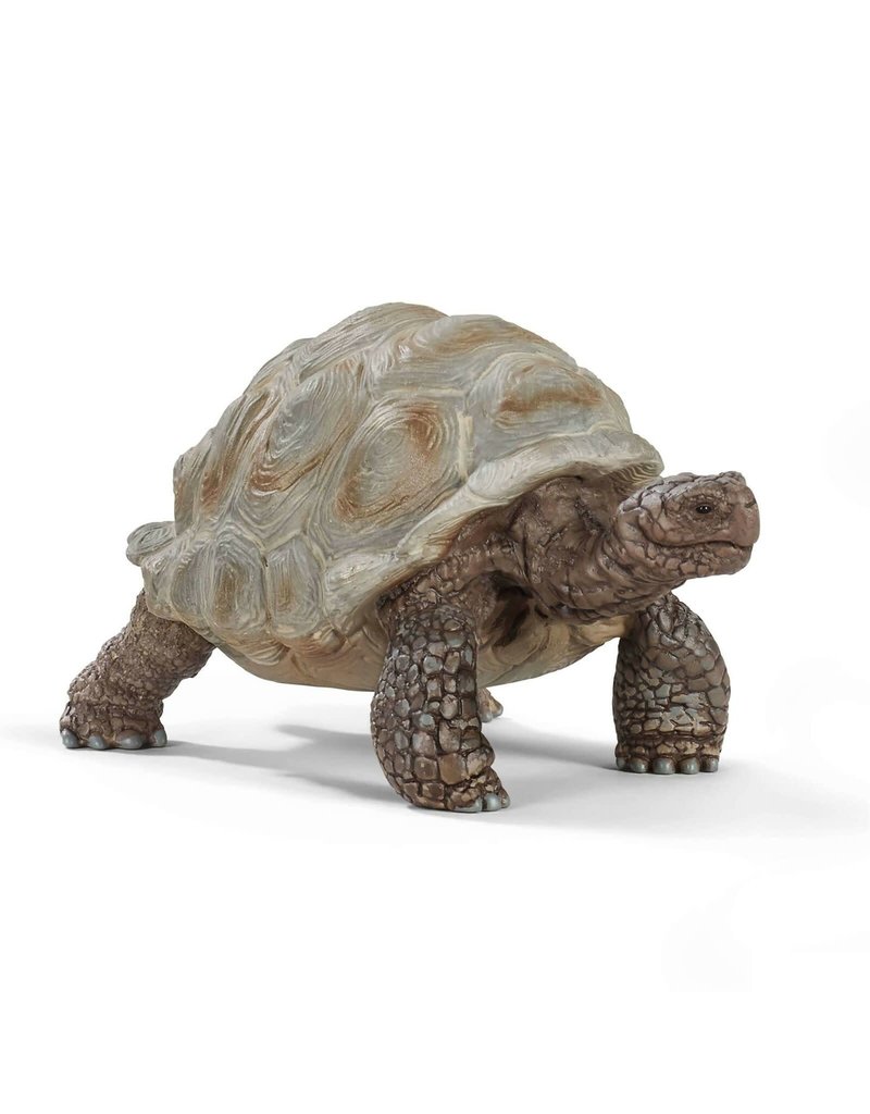 Schleich Schleich Giant Tortoise