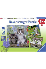 Ravensburger Ravensburger Puzzle Cuddly Kittens - 3 x 49 Pieces