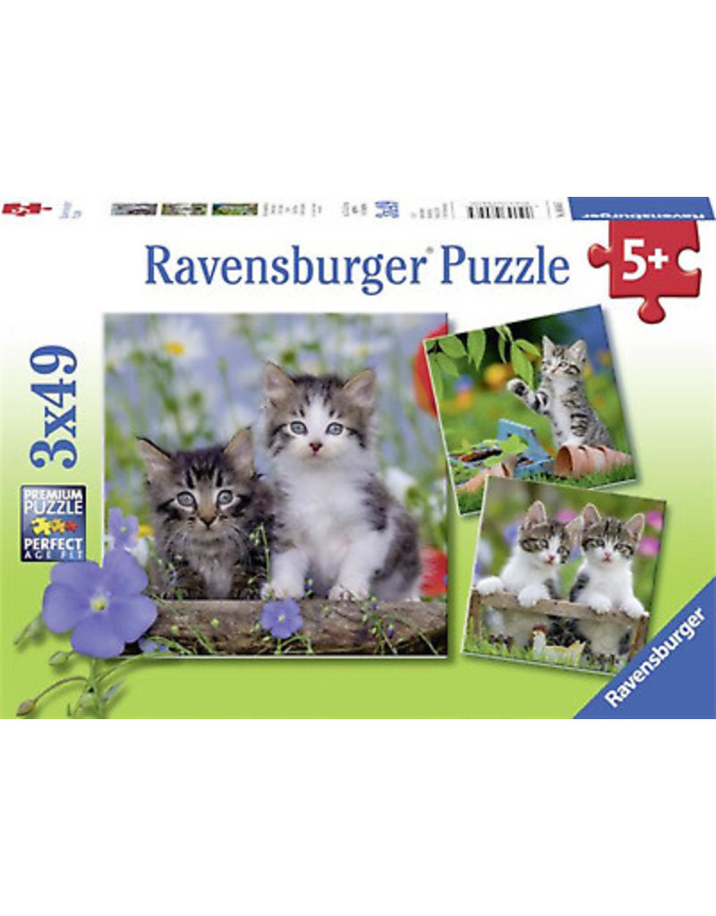 Ravensburger Ravensburger Puzzle Cuddly Kittens - 3 x 49 Pieces