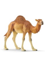 Schleich Schleich Dromedary Camel