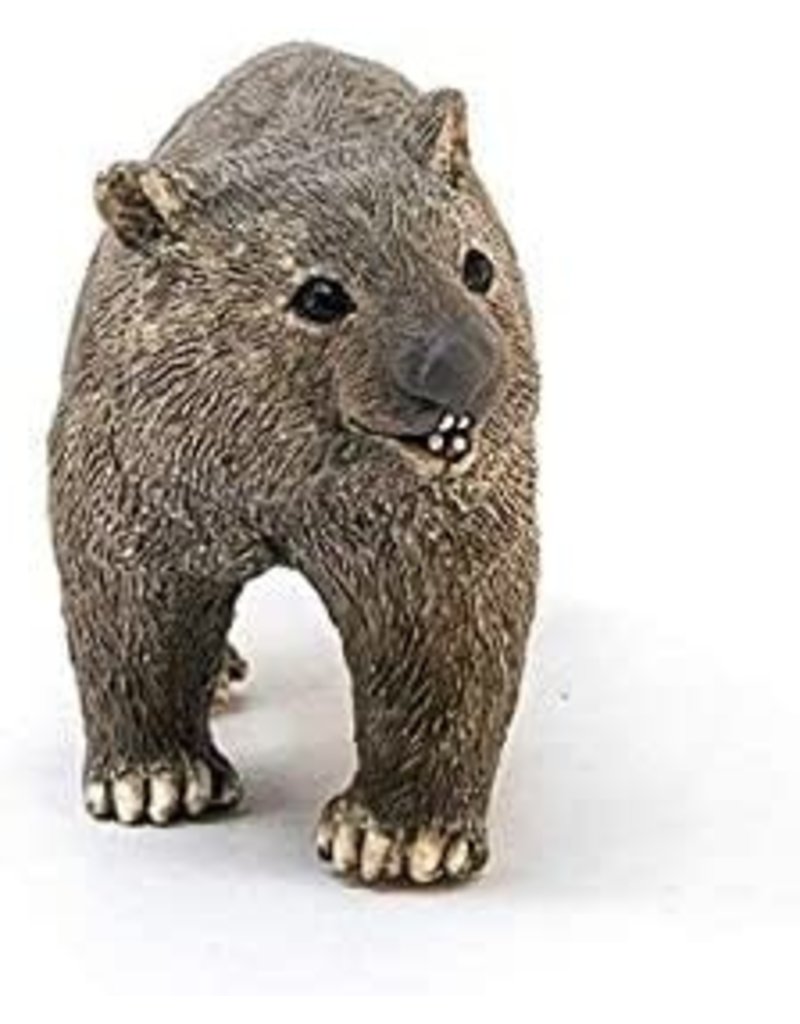Schleich Schleich Wombat