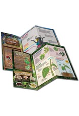 Smart lab Outdoor Science Lab:  Bugs and Plants and Dirt