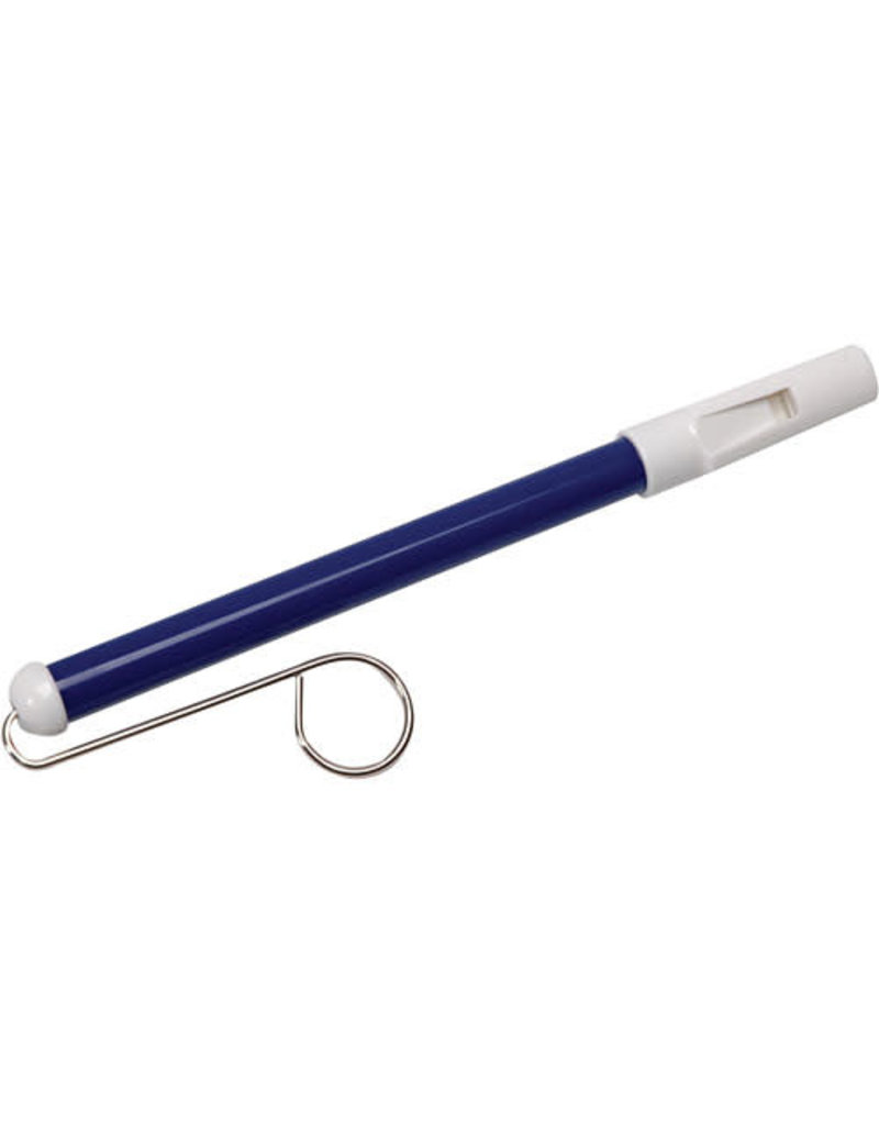 Schylling Toys Musical Slide Whistle