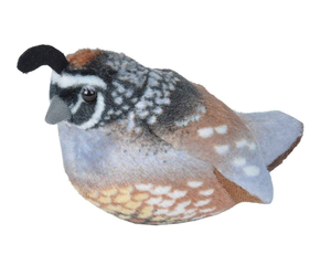 Wild Republic Plush Audubon California Quail 5 Pow Science LLC