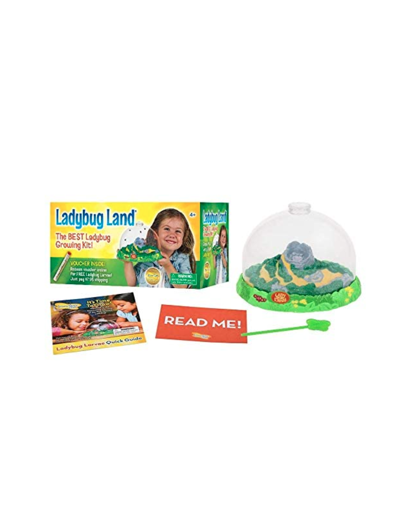 Insect Lore Scientific Ladybug Land with Voucher - Pow Science LLC
