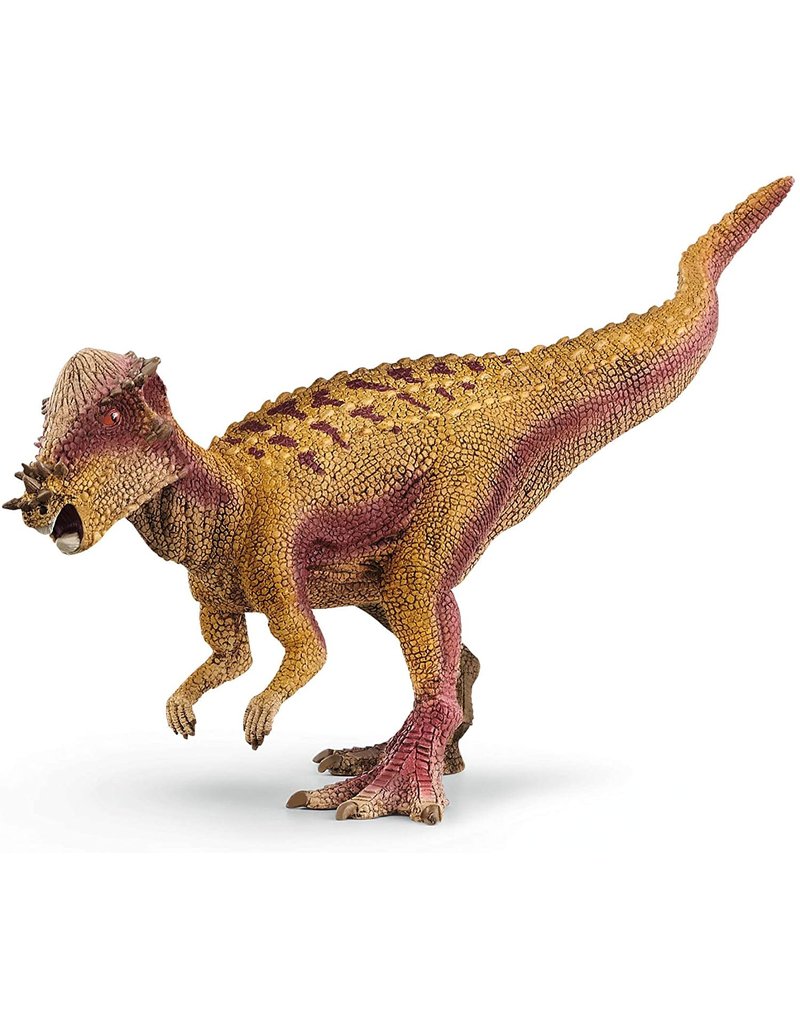 Schleich Schleich Dinosaur Pachycephalosaurus